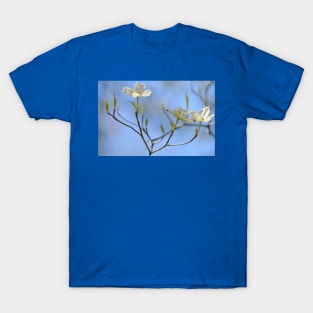 Under the Dogwood Tree T-Shirt